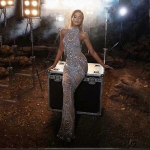 Elegant Silver and Tan Sequin Dress